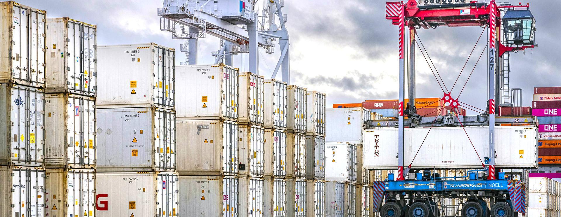 Conteneurs reefer sur le terminal de France