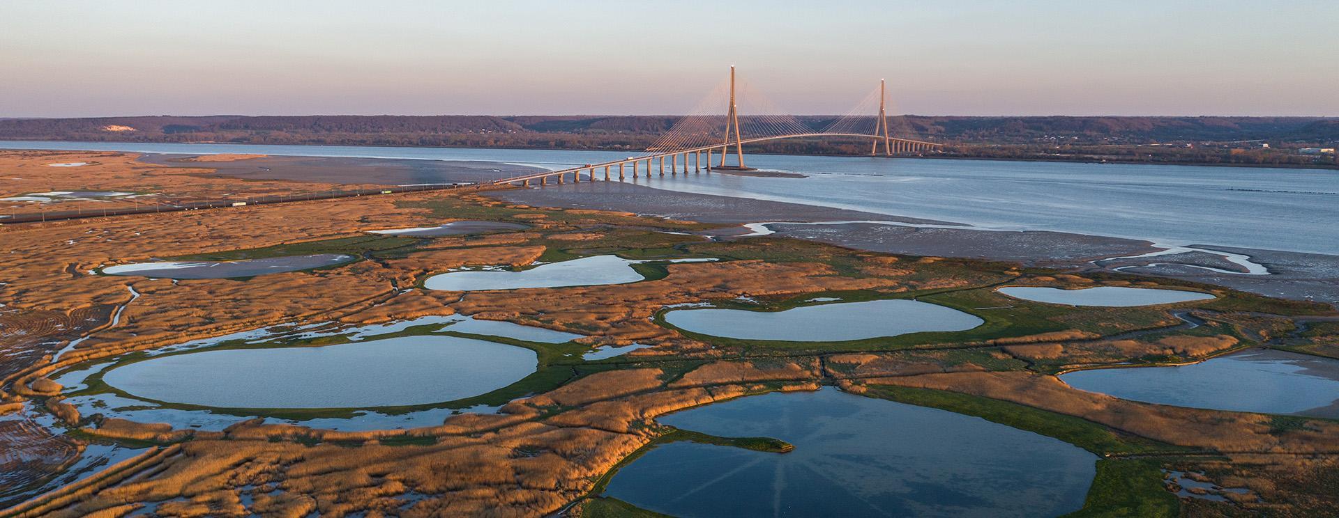 réserve naturelle de l’estuaire de seine - pont de normandie