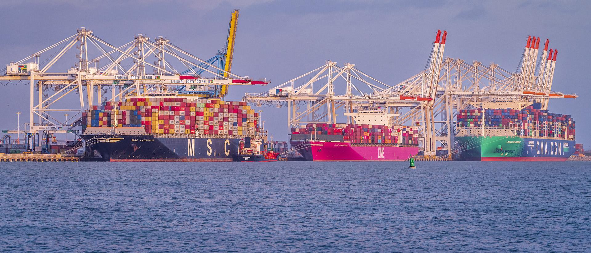 Porte-conteneurs en cours de chargement/déchargement sur le terminal conteneurs de port 2000 au Havre - Agrandir l'image, fenêtre modale