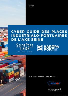Cyber guide