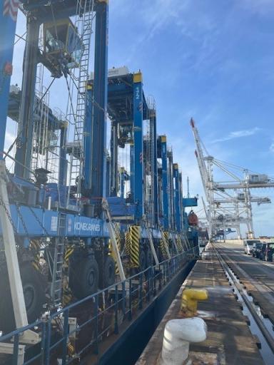 Cavaliers hybrides réceptionnés par Terminaux de Normdnaie - Enlarge image, modal window