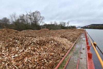 Plaquettes forestières - Agrandir l'image 6 sur 8, fenêtre modale