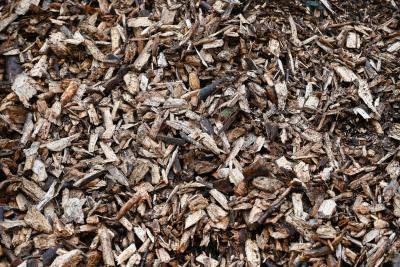 Plaquettes forestières - Agrandir l'image 7 sur 8, fenêtre modale