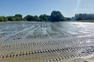 Agrandir l'image 2 sur 3, fenêtre modale