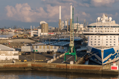 Grue Caillard - Agrandir l'image, fenêtre modale