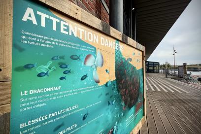 Agrandir l'image, fenêtre modale