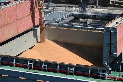 Chargement de céréales sur le vraquier PTI Danube au port de Rouen - Enlarge image, modal window