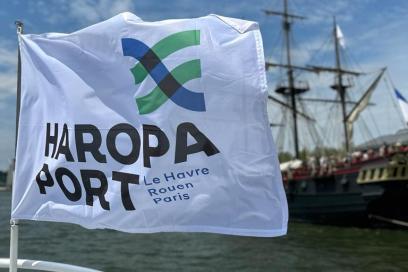 Enlarge image, modal window