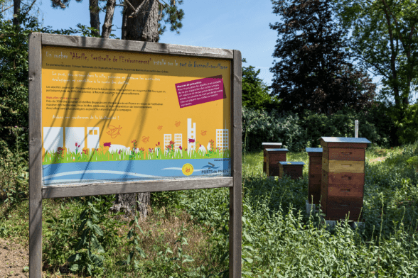 Ruches installées sur le port de Bonneuil-sur-Marne - Enlarge image, modal window